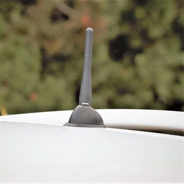 Korte antenne The Stubby 10 cm  MINI R55 Clubman 2006-2015